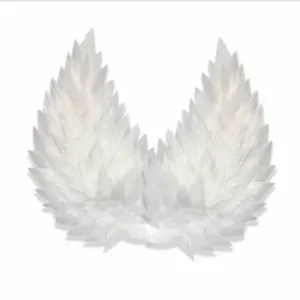 Вафельный декор «Крылья большие»